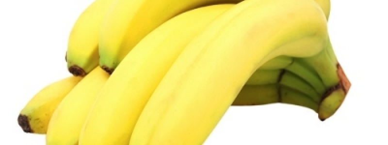 Banana geneticamente modificada...