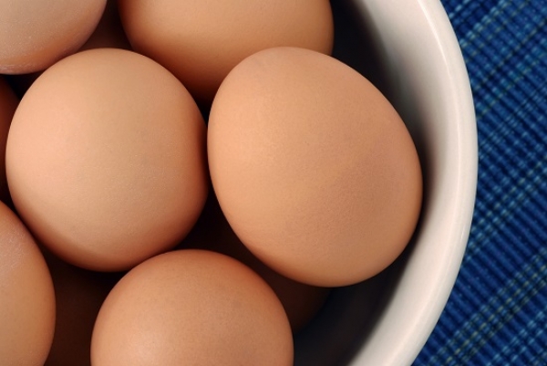 Holanda lança alerta alimentar devido a ovos contaminados