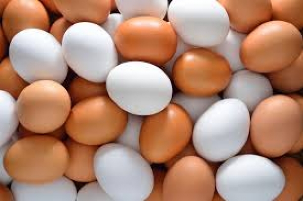Fraude com ovos contaminados remonta a setembro de 2016