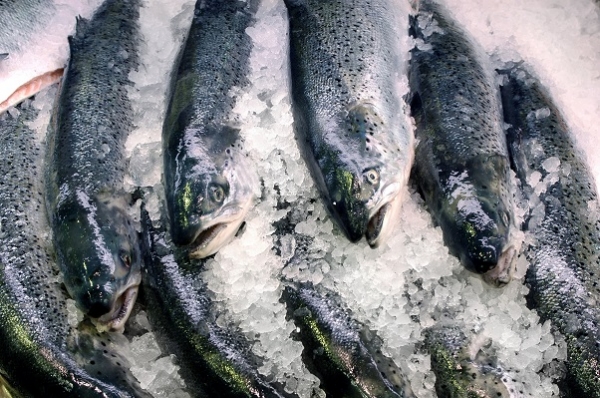 ASAE apreende 21 toneladas de pescado congelado