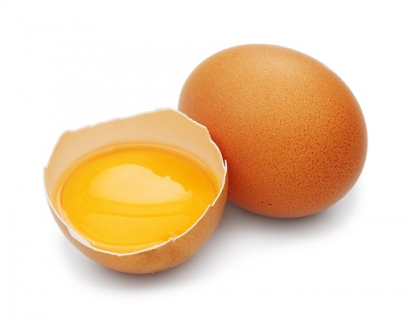 Surto de Salmonella com origem em ovos no Reino Unido