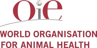 Relatório OIE: agentes antimicrobianos destinados a animais