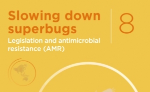 Publicação FAO: Desacelerar as superbactérias - Legislação e resistência antimicrobiana