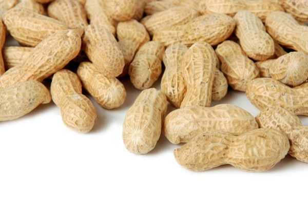 Comer amendoins desde cedo reduz risco de alergia, segundo estudo