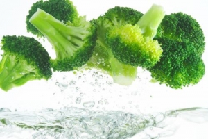Universidade de Aveiro: Brócolos têm benefícios na alimentação e na produção de bioplásticos