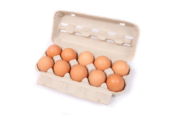 Alerta sobre ovos contaminados não abrange Portugal