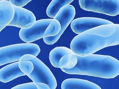 E. coli detetada em suplemento alimentar