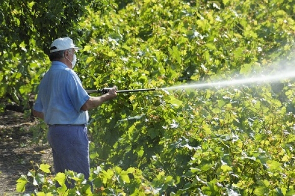 Poluição de pesticidas coloca 64% dos terrenos agrícolas em risco