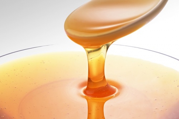 Investigadores do Politécnico de Leiria querem otimizar processo de obtenção de mel em pó