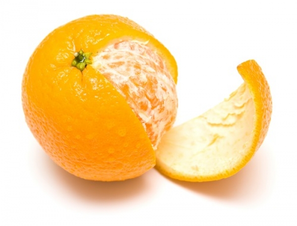 Manual de Boas Práticas de Fruticultura sobre citrinos