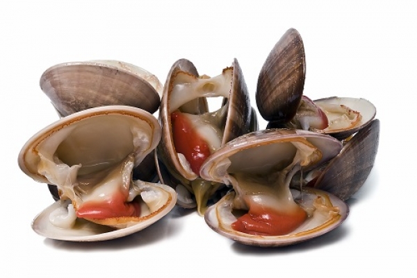 ASAE apreende 4,5 Toneladas de Moluscos Bivalves Vivos