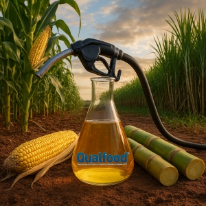 O futuro energ&eacute;tico pode estar no milho e na cana de a&ccedil;&uacute;car: os biocombust&iacute;veis que pretendem substituir o petr&oacute;leo