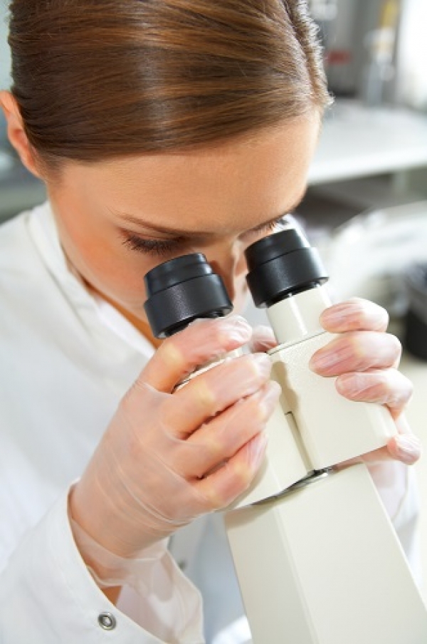 Investigadores descobrem forma de comer sem engordar