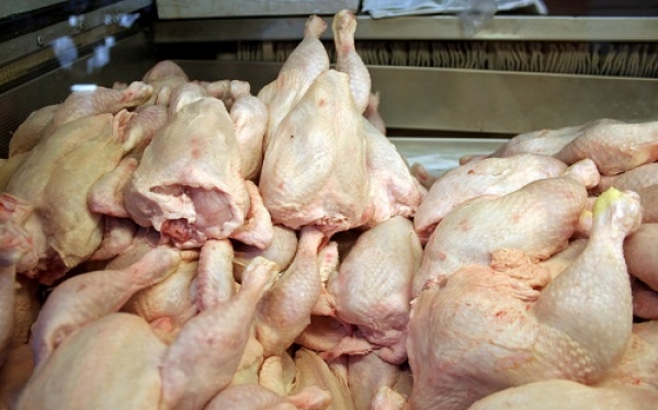 Frango estragado e salmonela em supermercado