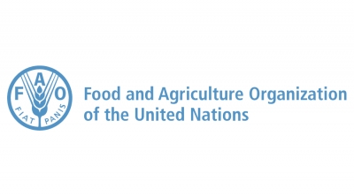 FAO estabelece prioridades estratégicas para a segurança alimentar para os próximos nove anos