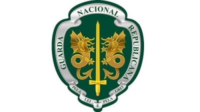 GNR apreende mais de 100 cavalos no distrito de Beja