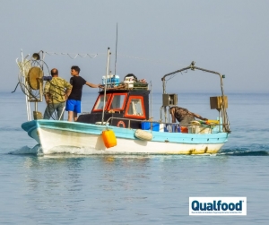 Estudo revela que conhecimento local melhora a sustentabilidade das pescas interligadas