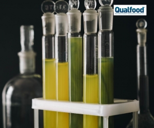 OGM | Algas geneticamente modificadas removem micropl&aacute;sticos da &aacute;gua