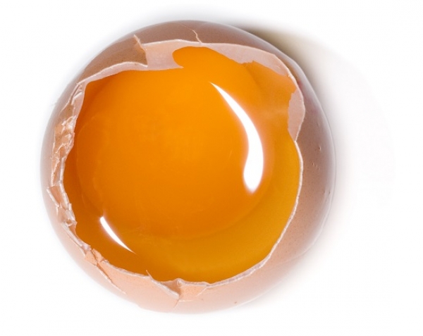 Bruxelas anuncia medidas para prevenir novos casos como o dos ovos contaminados
