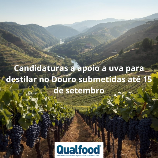 Candidaturas a apoio a uva para destilar no Douro submetidas até 15 de setembro