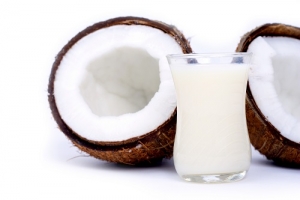 Cientistas afirmam que produção de óleo de coco é um perigo para espécies vulneráveis