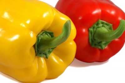 UE actualiza Catálogo Comum de Variedades de Espécies Hortícolas