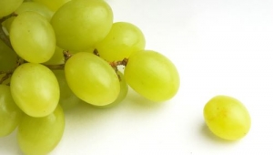 Empresas portuguesas criam alternativa ao couro com desperdício de uva