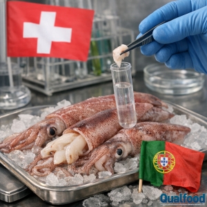 Su&iacute;&ccedil;a notifica RASFF por c&aacute;dmio elevado em lulas de origem portuguesa