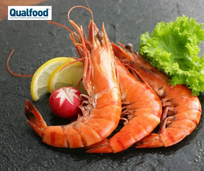 A FDA aumenta os requisitos de importação de camarão e especiarias da Indonésia devido à radioatividade