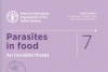 Publicação FAO: Parasites in Food - An invisible threat