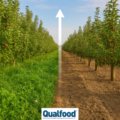 Agricultura orgânica e convencional têm impactos semelhantes nos pomares de maçã