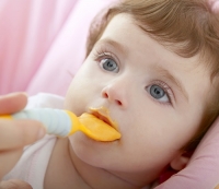 Os bebés podem consumir proteína whey?