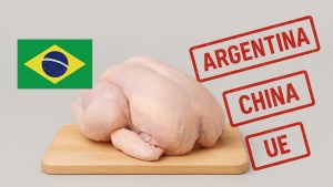 Brasil suspende vendas de frango para Argentina, China e União Europeia devido a caso de gripe aviária
