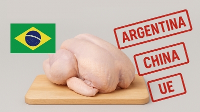 Brasil suspende vendas de frango para Argentina, China e União Europeia devido a caso de gripe aviária