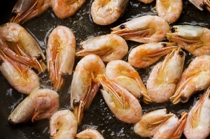 Alerta europeu para o consumo deste camarão: “A ordem é para que ninguém os consuma”