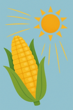 Milho | O cereal perfeito para comer quando as temperaturas sobem