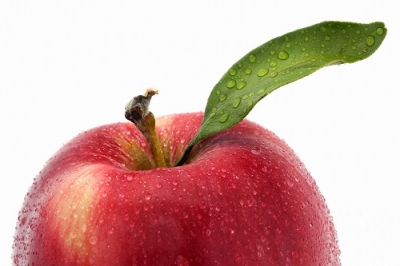 Panamá - novo mercado para a pêra e maçã nacionais