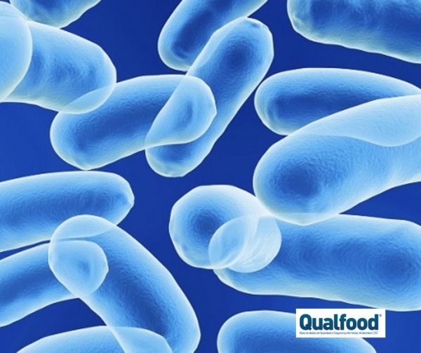 Sistemas de vigilância e de mecanismos de resposta em bioterrorismo alimentar