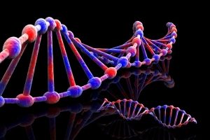 Utilizar o DNA para a rastreabilidade de alimentos