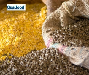 Startup portuguesa vence maior pr&eacute;mio de inova&ccedil;&atilde;o agroalimentar