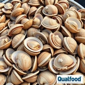 Alerta RASFF sobre toxinas DST em amêijoas de Portugal