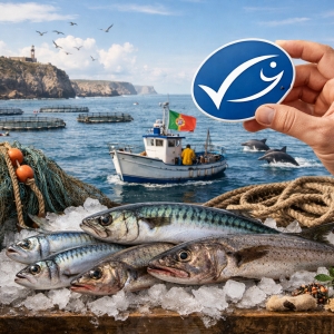 Organiza&ccedil;&atilde;o MSC quer 40% do pescado em Portugal certificado at&eacute; ao final da d&eacute;cada