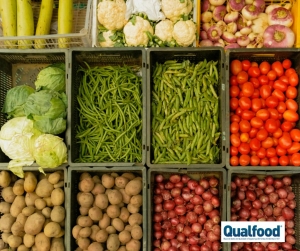 Monitoriza&ccedil;&atilde;o de bioaeross&oacute;is para processadores de alimentos