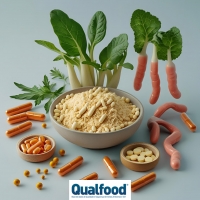 O Paradoxo Probiótico | Danos Potenciais dos Suplementos de “Bactérias Boas”