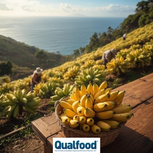 Banana da Madeira: sustentabilidade que nasce na terra e chega intacta à mesa