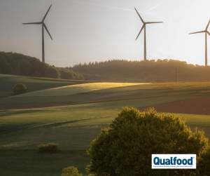 Renov&aacute;veis asseguram quase tr&ecirc;s quartos da eletricidade produzida em Portugal em Novembro