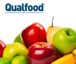 Alimentar o cérebro em época de exames? Todos os conselhos de uma nutricionista
