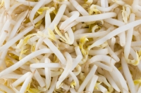 Alimentos veganos ou à base de plantas podem precisar de nova nomenclatura