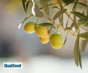 FCUP aposta na promo&ccedil;&atilde;o da resili&ecirc;ncia clim&aacute;tica de culturas agr&iacute;colas