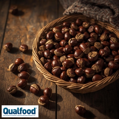 A castanha: o &#039;tesouro&#039; do mês de novembro